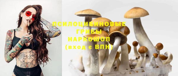 прущий лед Абдулино