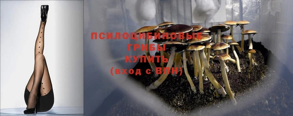 МДПВ Орехово-Зуево