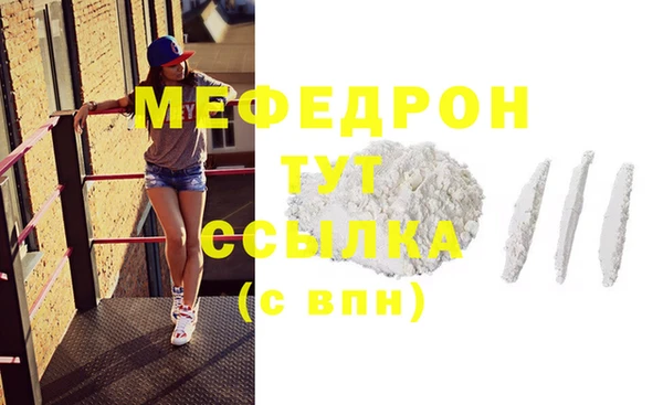 МДПВ Нея