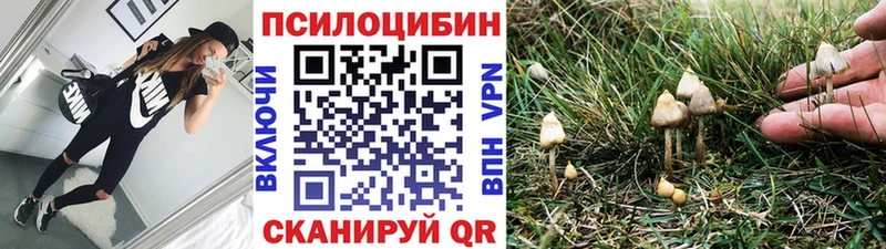 где купить наркоту  Иноземцево  МЕГА сайт  Псилоцибиновые грибы прущие грибы 